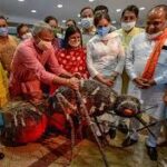 Adesh Gupta also launched the campaign of South Delhi Municipal Corporation from its headquarters.