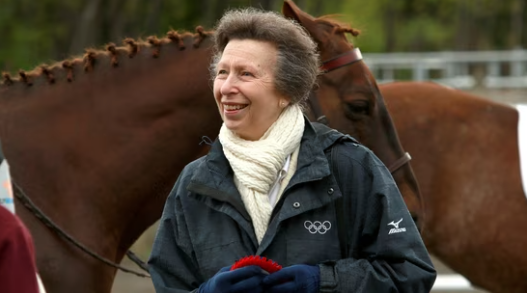Princess Anne shares message following horse-related accident