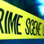 The police identified the accused as Vineet Chaudhary and said he had been living with the mother of the two children for six to seven months.