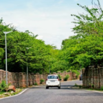 The Ridge is hailed as Delhi’s “green lungs”.